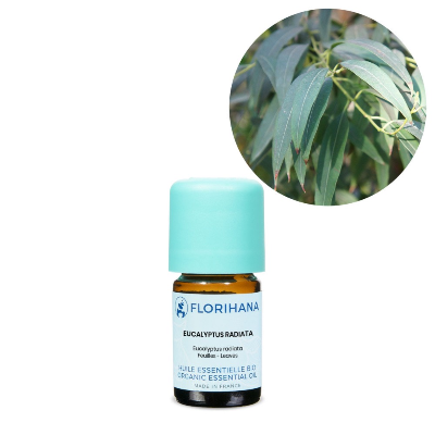 Eukalyptus radiata eterisk olja